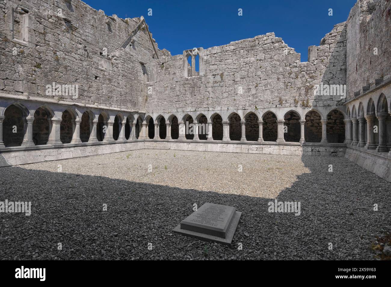 Repubblica d'Irlanda, Contea di Limerick, Askeaton, convento francescano del XIV secolo, Chiostro. Foto Stock