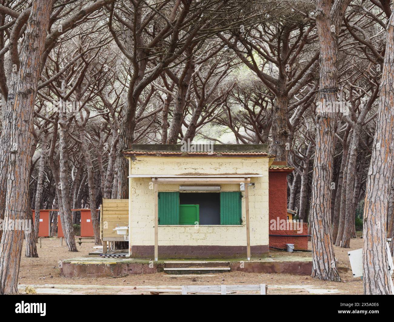 Chiosco di mattoni abbandonato in seguito alla chiusura di un campeggio situato all'interno di una pineta. Siamo sulla costa laziale, nell'Italia centrale Foto Stock