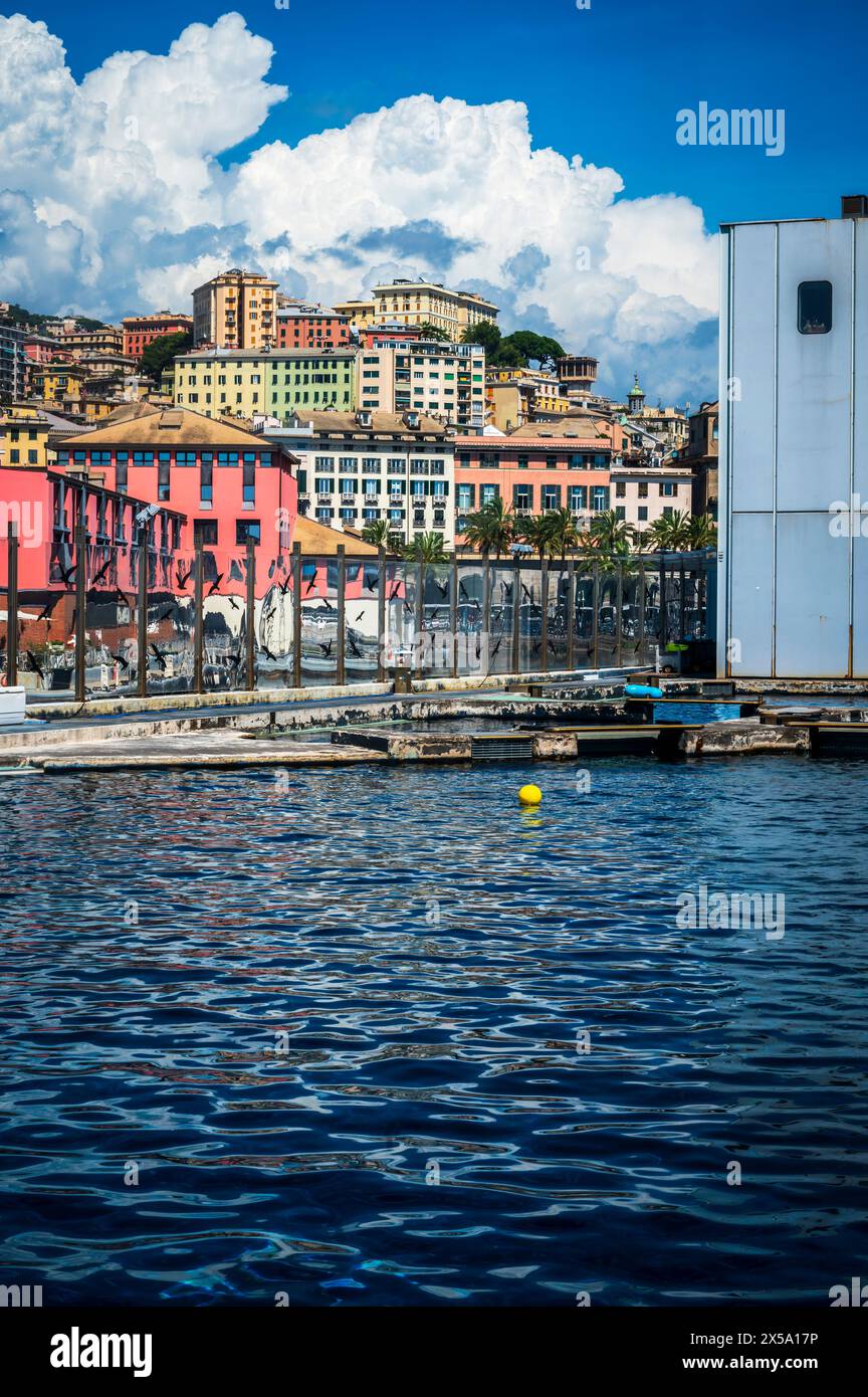 Meraviglie del mare. Pesci, mammiferi, cavallucci marini e lamantini. Sorprese all'acquario di Genova Foto Stock