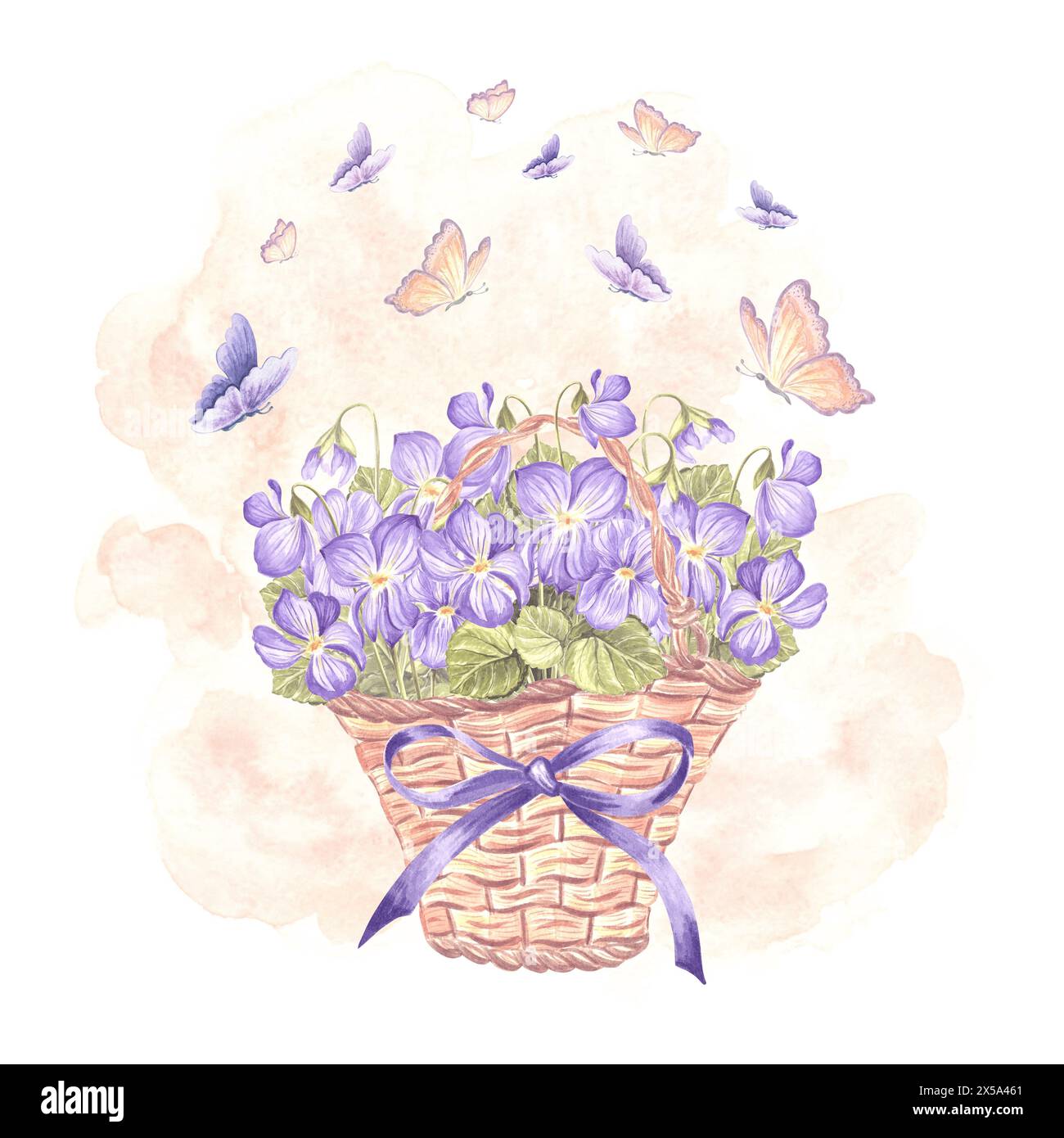 Violette e farfalle selvatiche in cesto di vimini con fiocco e fiocchi. Illustrazione dell'acquerello della molla. Bouquet di pansy disegnato a mano isolato. Disegno vintage Foto Stock
