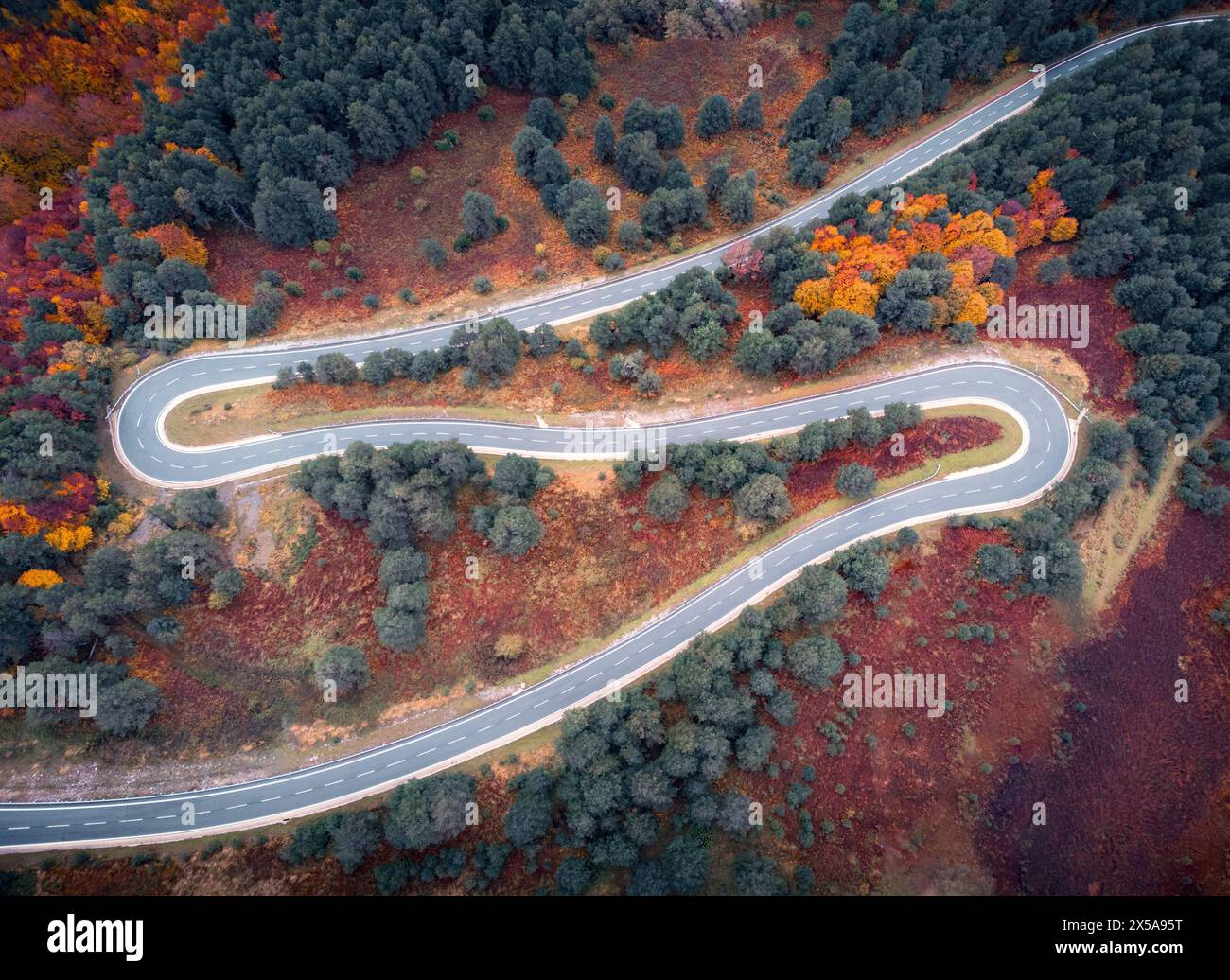 Vista aerea dall'alto di una strada curva che serpeggia attraverso una colorata foresta autunnale nei Pirenei, Navarra, mostrando la bellezza dell'autunno in Spagna. Foto Stock