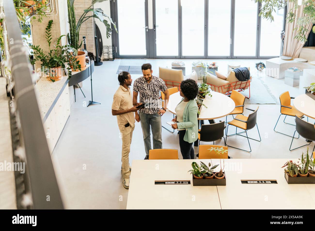 Un gruppo diversificato di professionisti collabora in uno spazio di coworking luminoso e pieno di piante con mobili eleganti e grandi finestre Foto Stock