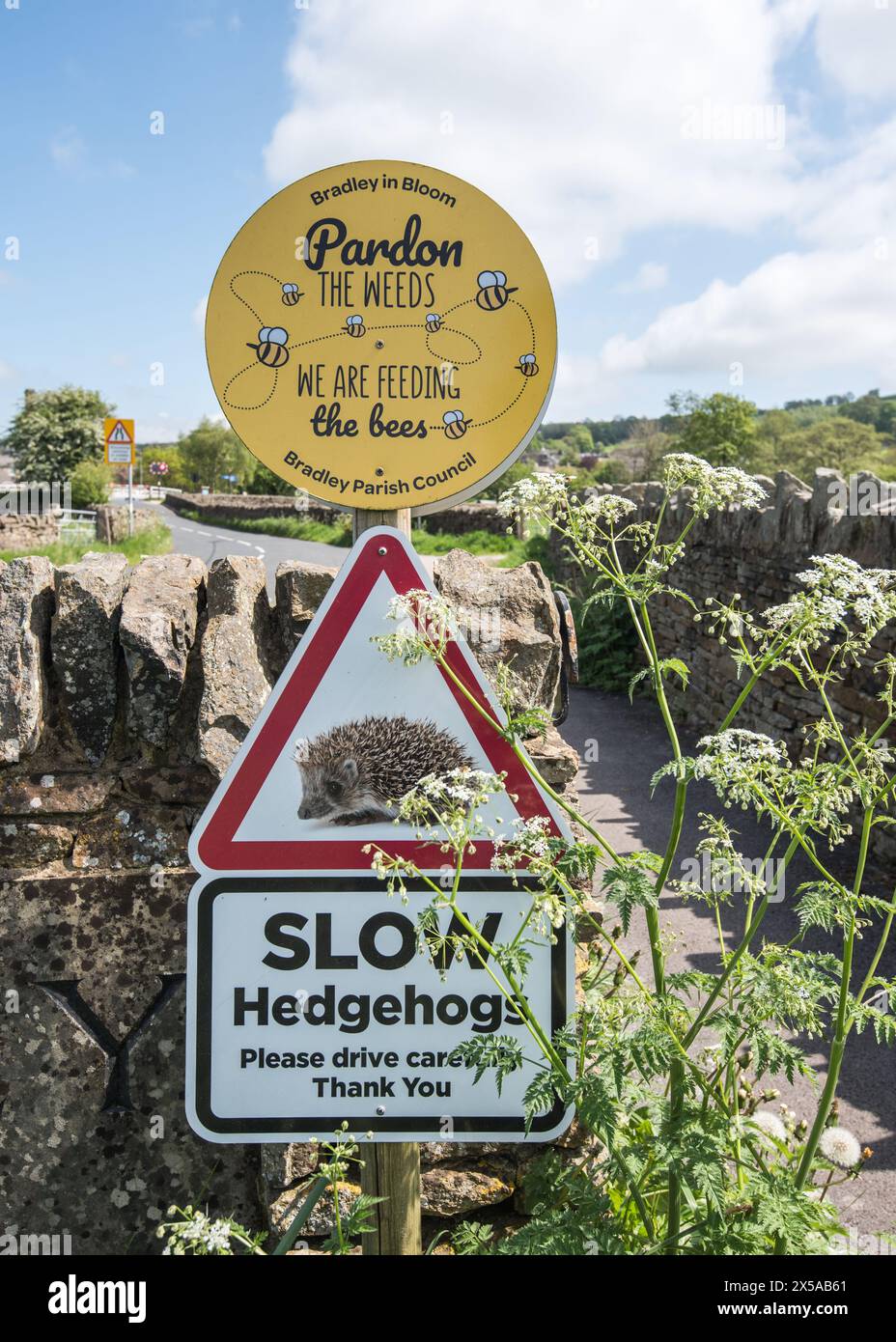 Hedgehog ( Erinaceus europaeus ), segnalano ai conducenti di non guidare troppo velocemente e di uccidere ricci vulnerabili che cercano di attraversare la strada a Bradley Yorks Foto Stock
