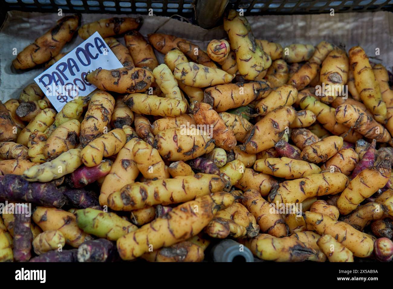 Patata oca biologica con il suo prezzo in peso argentino in un mercato di Salta, Argentina Foto Stock