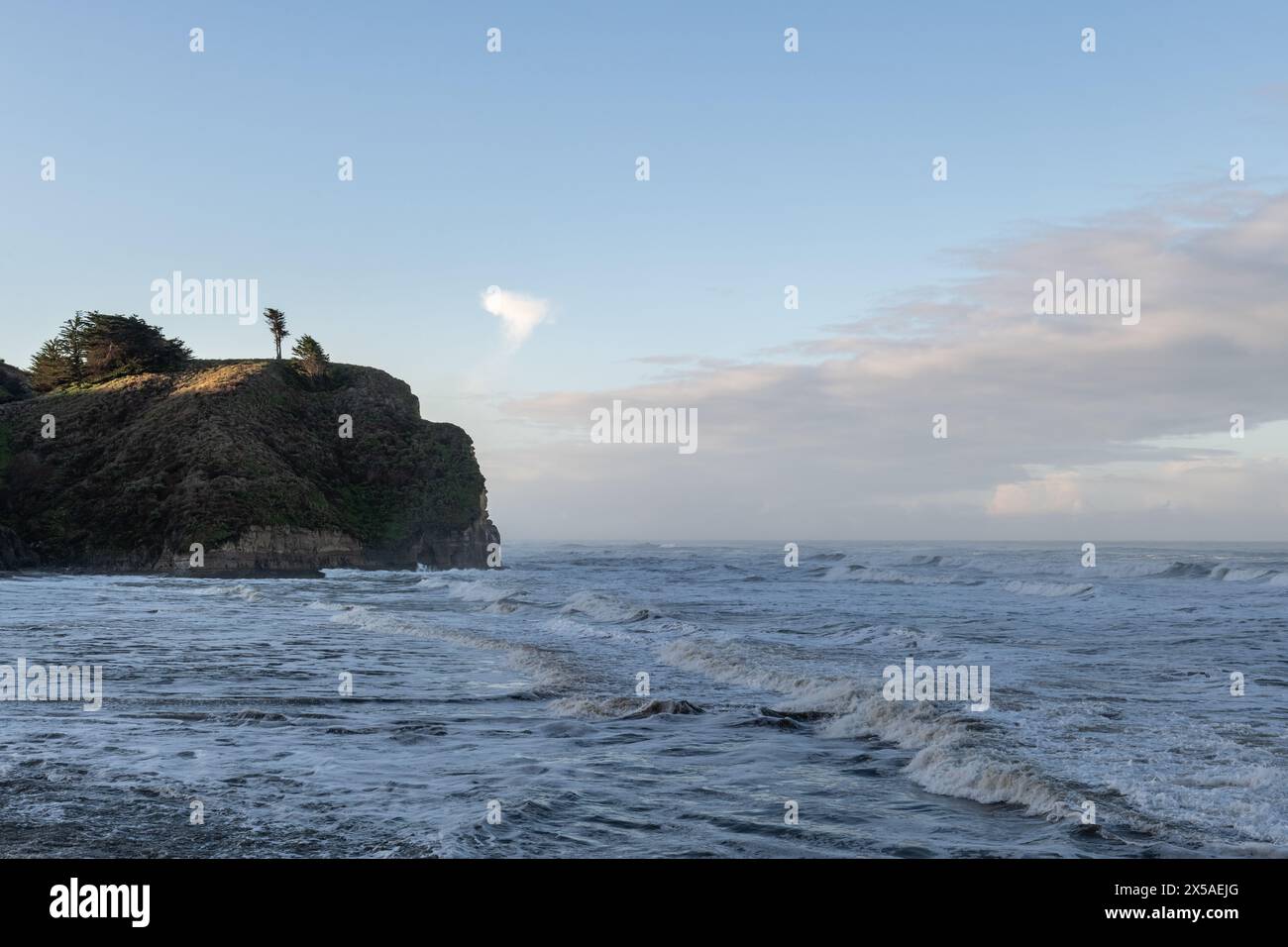 Onde che si infrangono lungo la costa dell'Oceano Pacifico nel nord della California in una mattina nebbiosa di primavera. Foto Stock