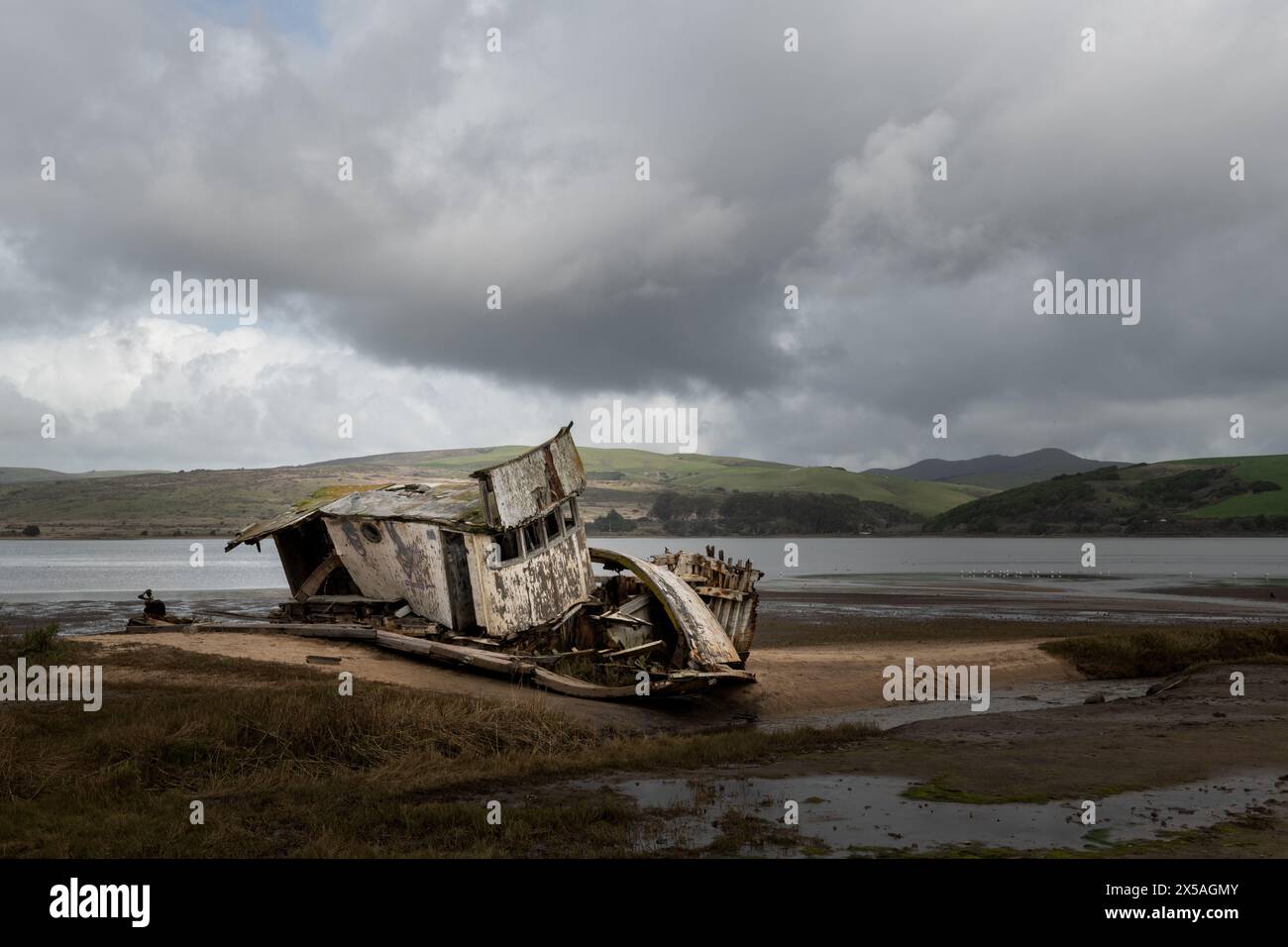 S.S. Point Reyes, un peschereccio in rovina bloccato nella sabbia lungo la baia di Tomales nel mare nazionale di Point Reyes nella città di Inverness, nord Foto Stock