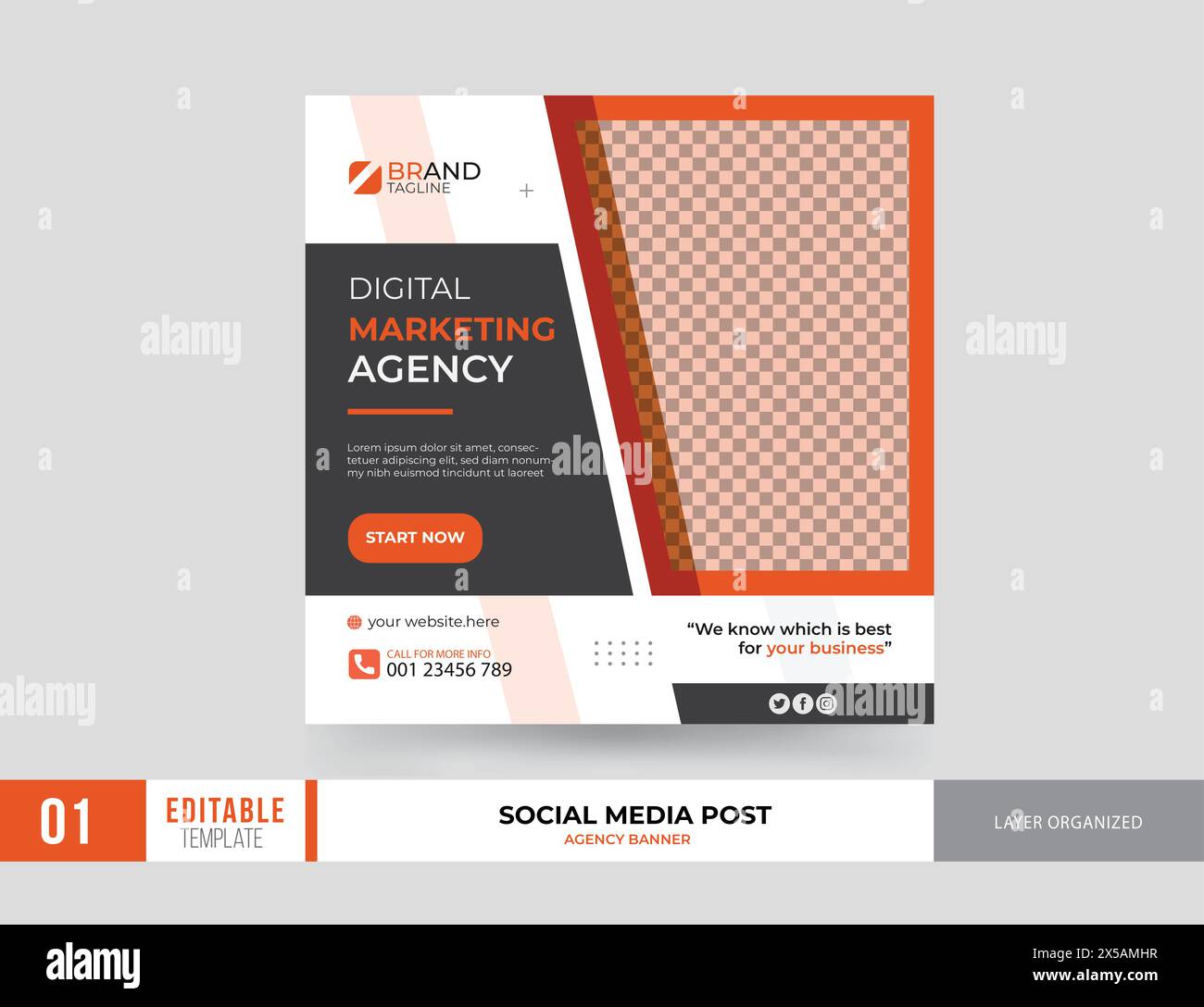 Digital Marketing Social Media Post Illustrazione Vettoriale