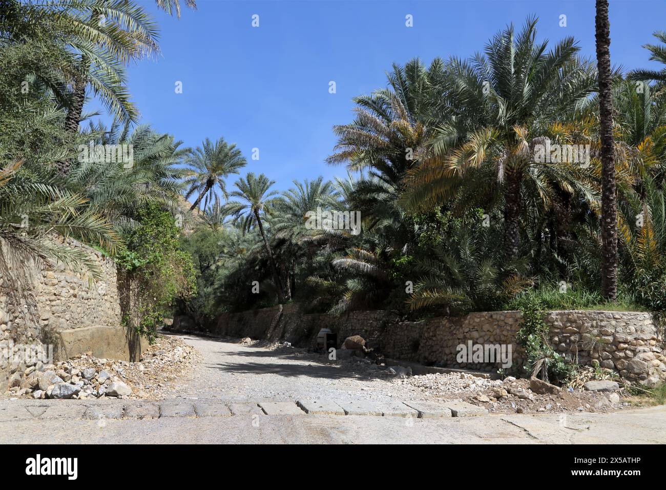 Betoniera per lavori di riparazione sulla strada per Wadi Bani Kahlid Oman Foto Stock