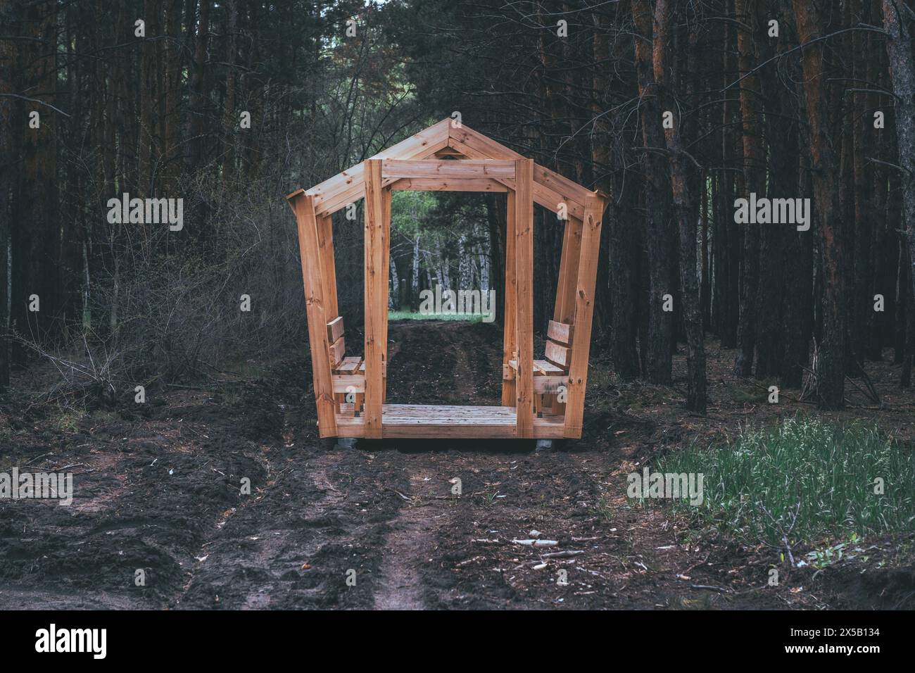 Ingresso in legno alla foresta. Il concetto di camminare nel bosco Foto Stock