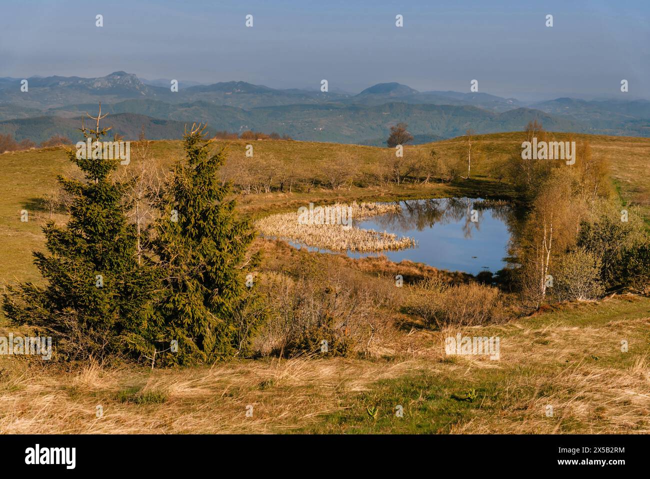 Lago di montagna nel Parco naturale Golija Serbia Foto Stock