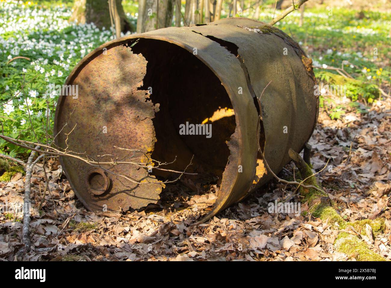 L'olio di botte arrugginito nella foresta illustra l'inquinamento dell'ambiente Foto Stock