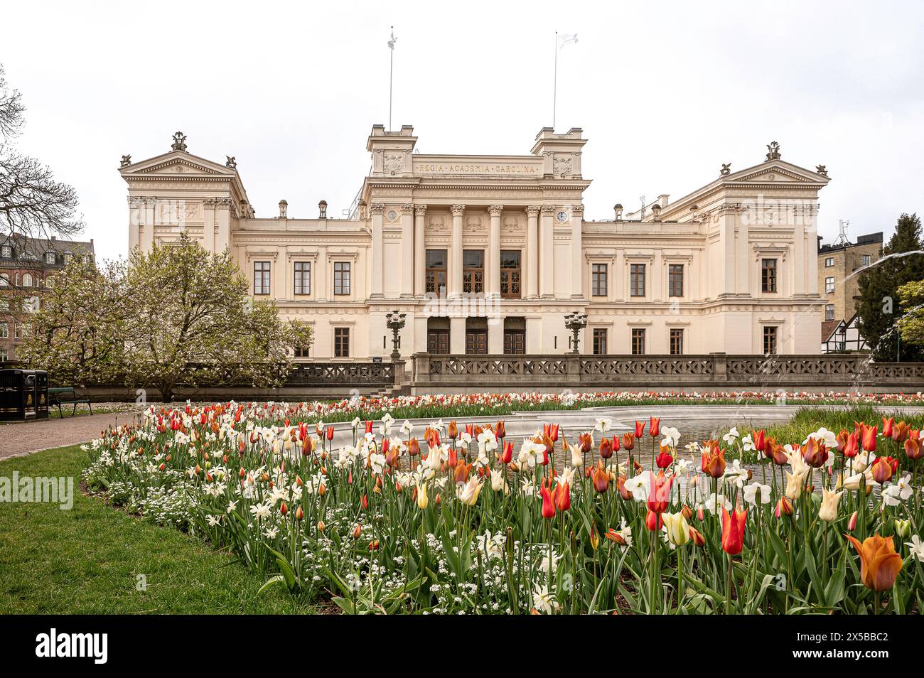 Un letto di tulipani di fronte all'edificio principale dell'Università di Lund, Lund, Svezia, 6 maggio 2024 Foto Stock