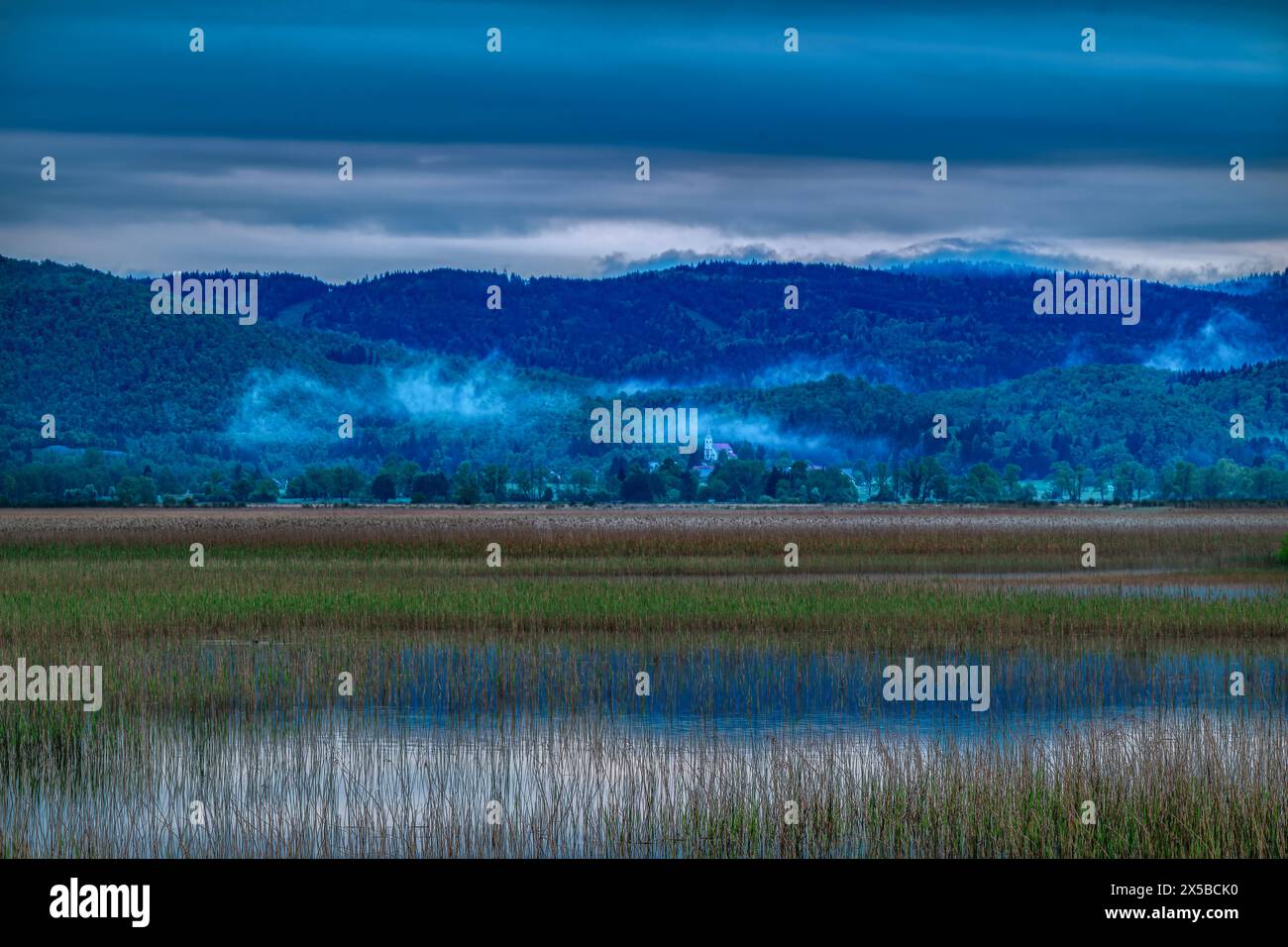 Mattina nebbia su un lago Foto Stock