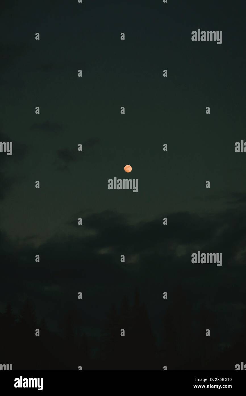 Fullmoon Foto Stock