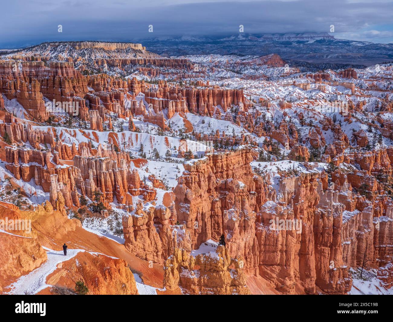 Canyon tra Sunrise e Sunset Points, Bryce Canyon National Park, Utah. Foto Stock