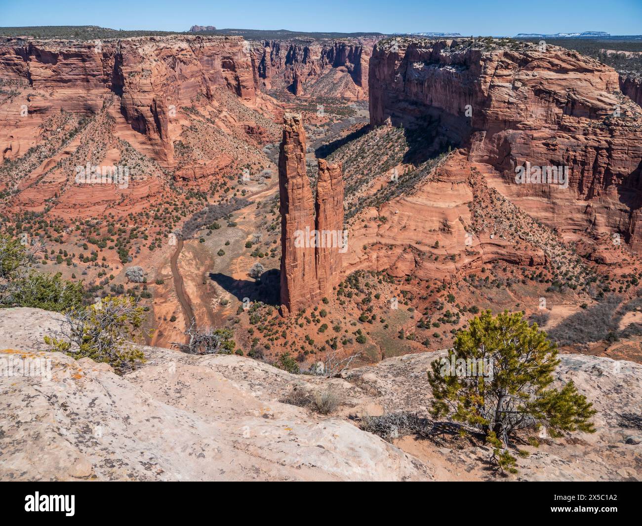 Spider Rock, South Rim Drive, Canyon de Chelly National Monument, Chinle, Arizona. Foto Stock