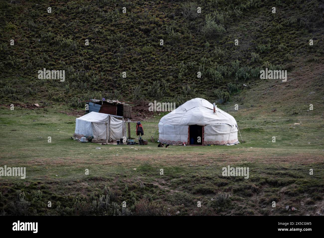Yurta lungo un fiume, paesaggio montano desolato, Tian Shan, Sky Mountains, Sary Jaz Valley, Kirghizistan Foto Stock