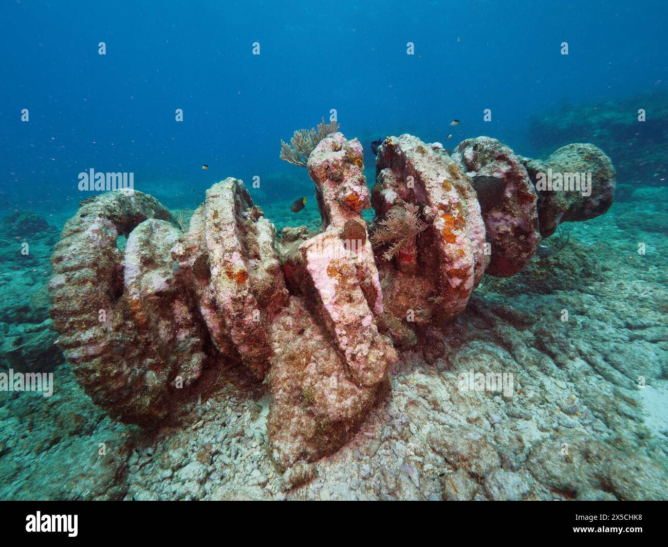 Verricello di un vecchio relitto affondato sul fondo del mare. Sito per immersioni John Pennekamp Coral Reef State Park, Key largo, Florida Keys, Florida, Stati Uniti Foto Stock