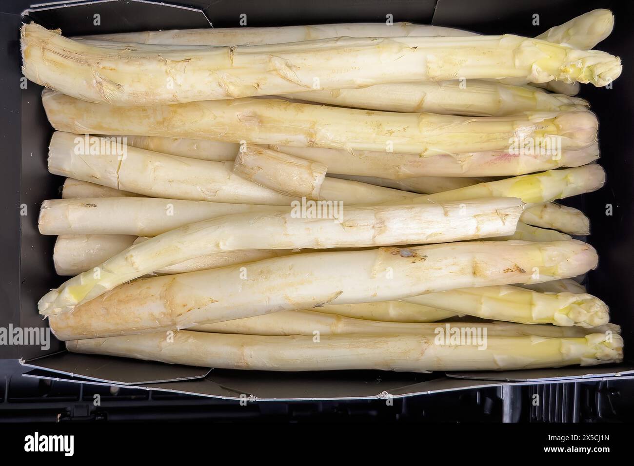 Asparagi da giardino bianco (Asparagus officinalis) in pezzi sfusi esposizione di vendita al dettaglio all'ingrosso supermercato fruttivendolo ecologico senza Foto Stock