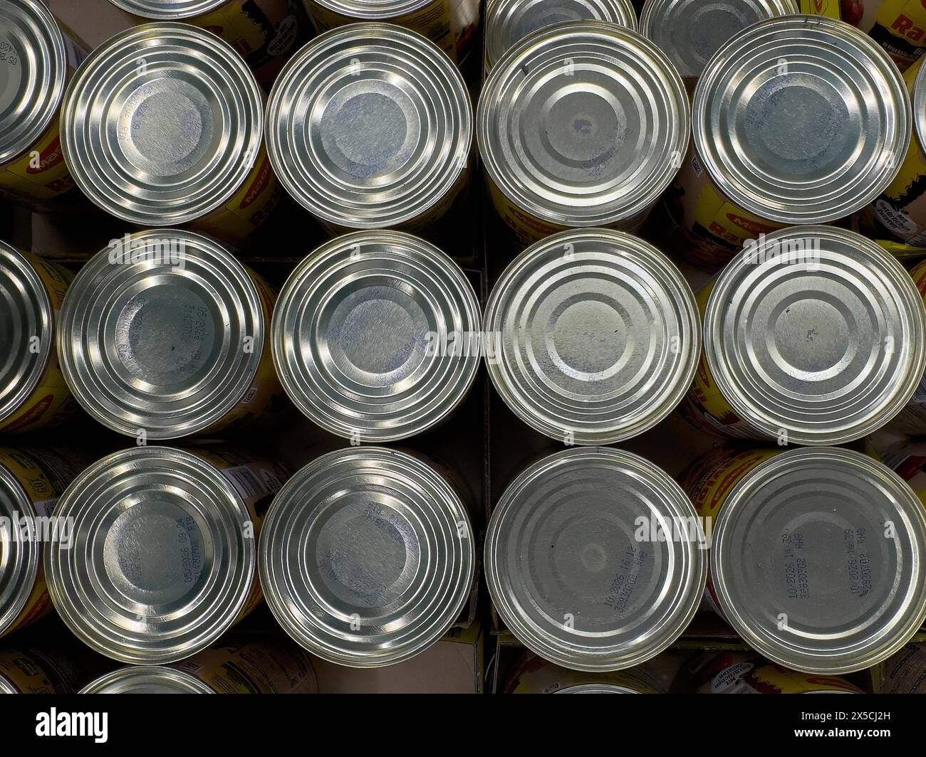 Vista dall'alto di dodici lattine di cibo nel negozio di alimentari, rivenditore di alimentari, supermercato, Germania Foto Stock