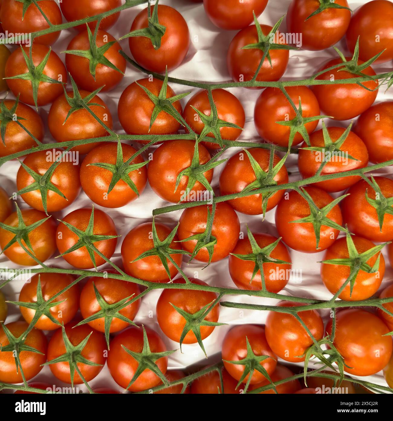 Pomodori rossi maturi con gambi verdi in esposizione al fruttivendolo, supermercato, Germania Foto Stock