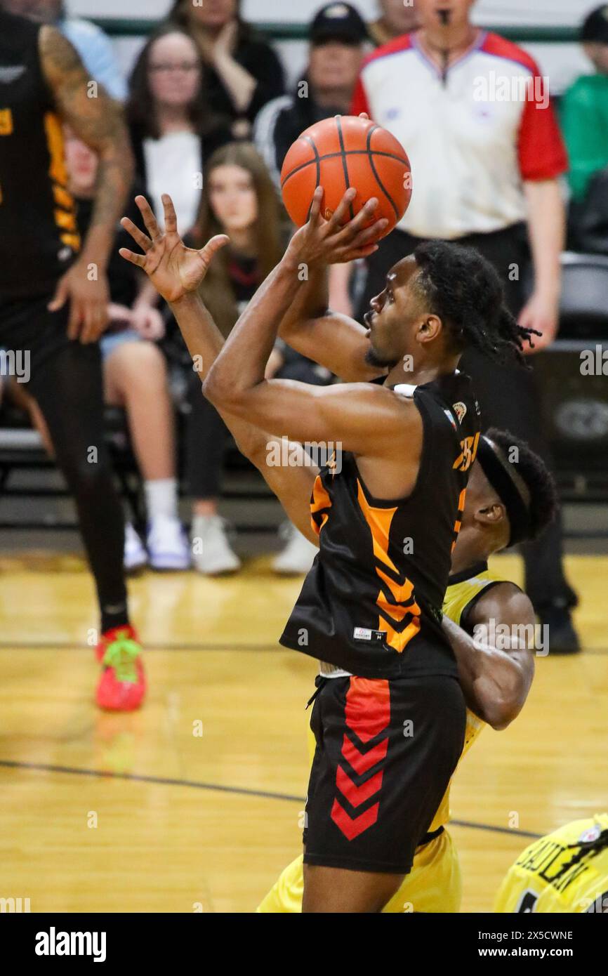 Londra, Canada. 8 maggio 2024. I Sudbury 5 sconfissero i London Lightning 128-118 in gara 3 dei playoff di semifinale della BSL. Londra è in testa al meglio della serie 5 2-1. AJ Mosby Jr. (2) dei Sudbury Five scatta un colpo durante il primo quarto. Crediti: Luke Durda/Alamy Live News Foto Stock