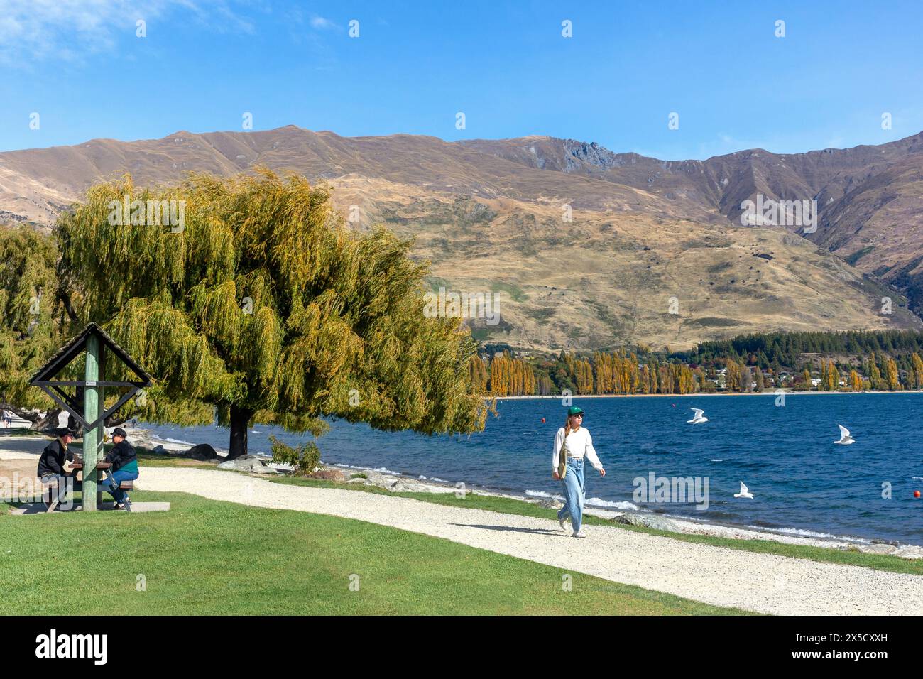 Lungolago in autunno, Wānaka, Otago, Isola del Sud, nuova Zelanda Foto Stock
