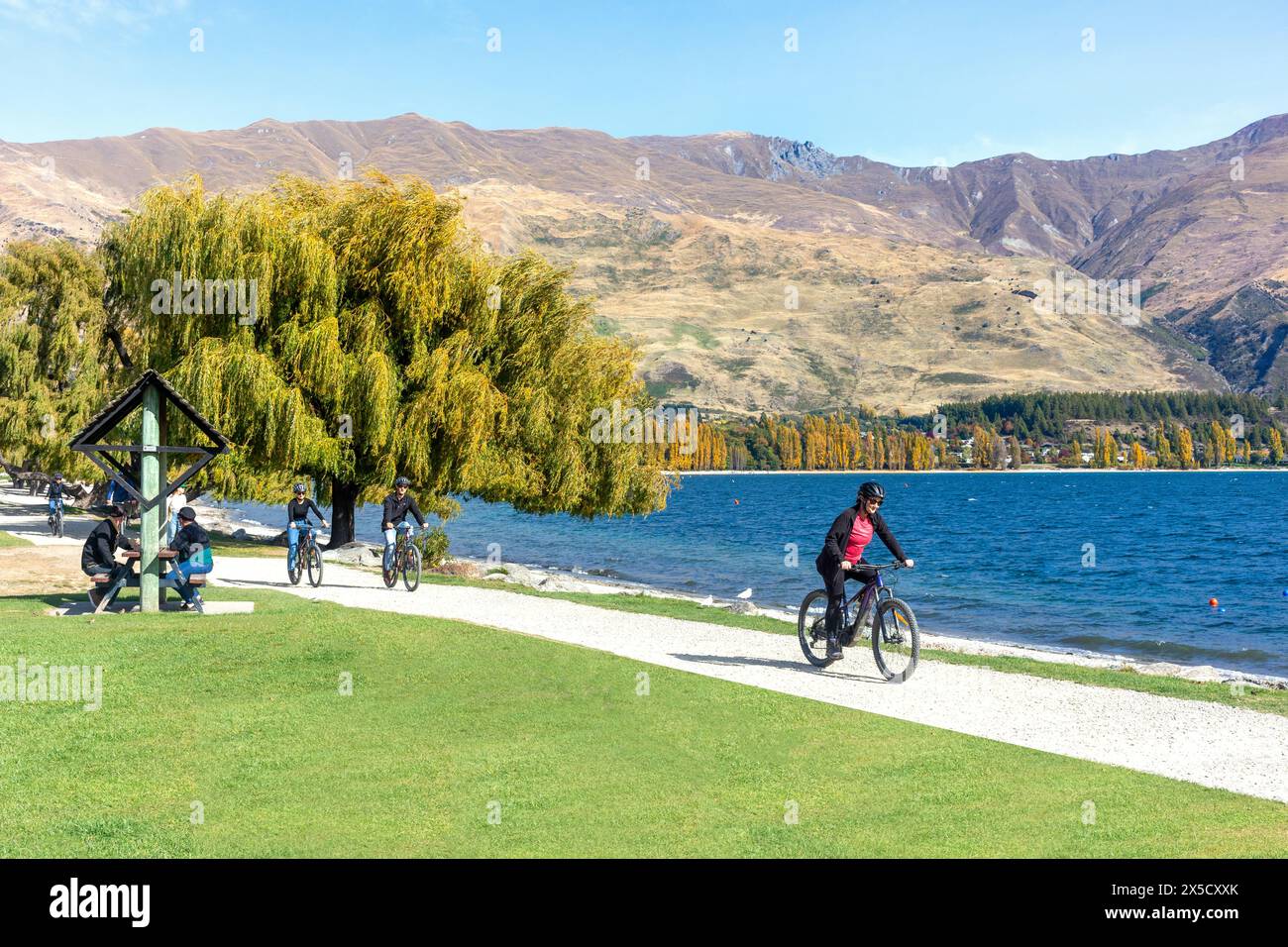 Ciclisti sul lungolago in autunno, Wānaka, Otago, South Island, nuova Zelanda Foto Stock