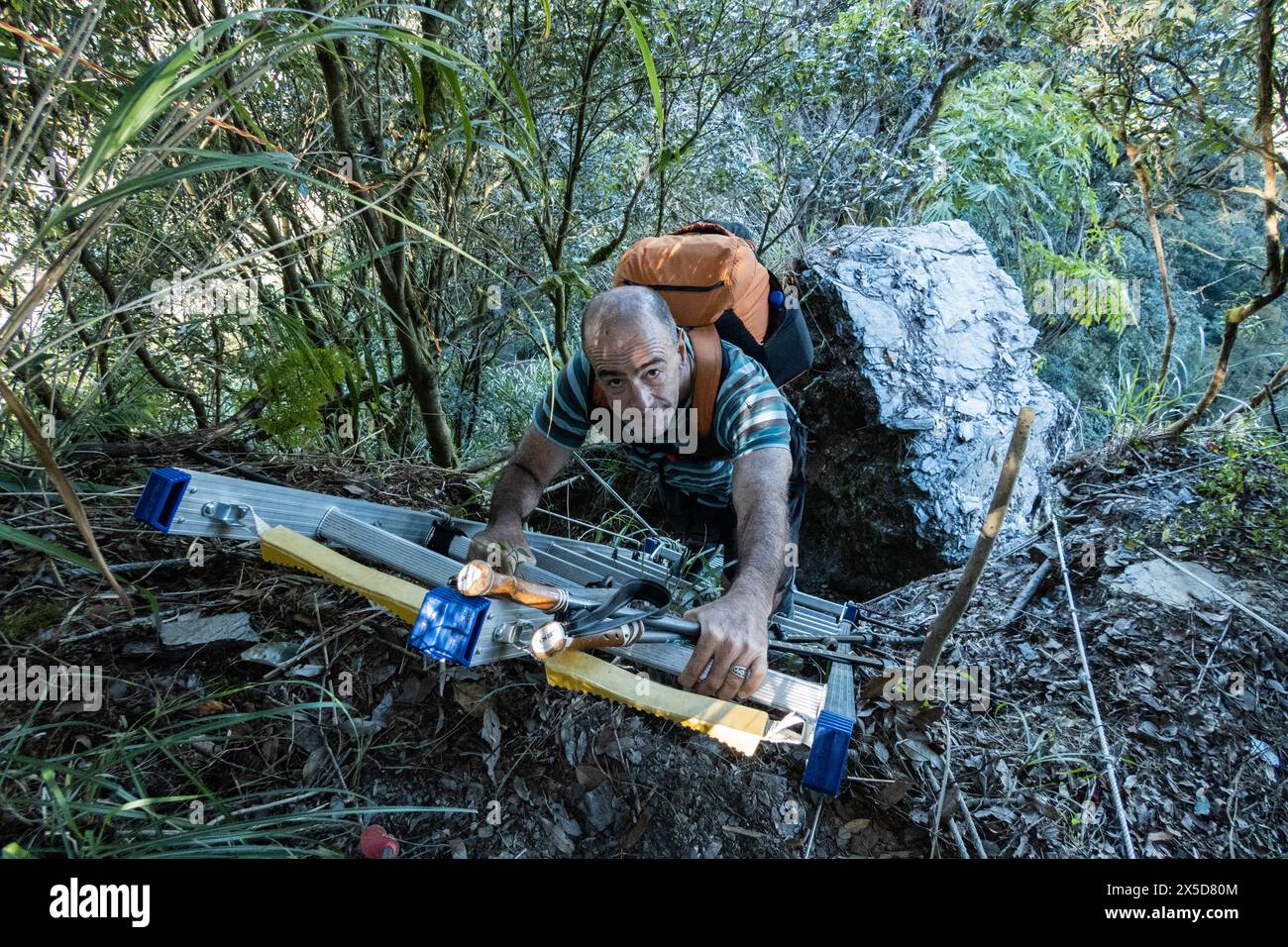 Scalate nella foresta, Nenggao Historical Trail, Nantou, Taiwa Foto Stock