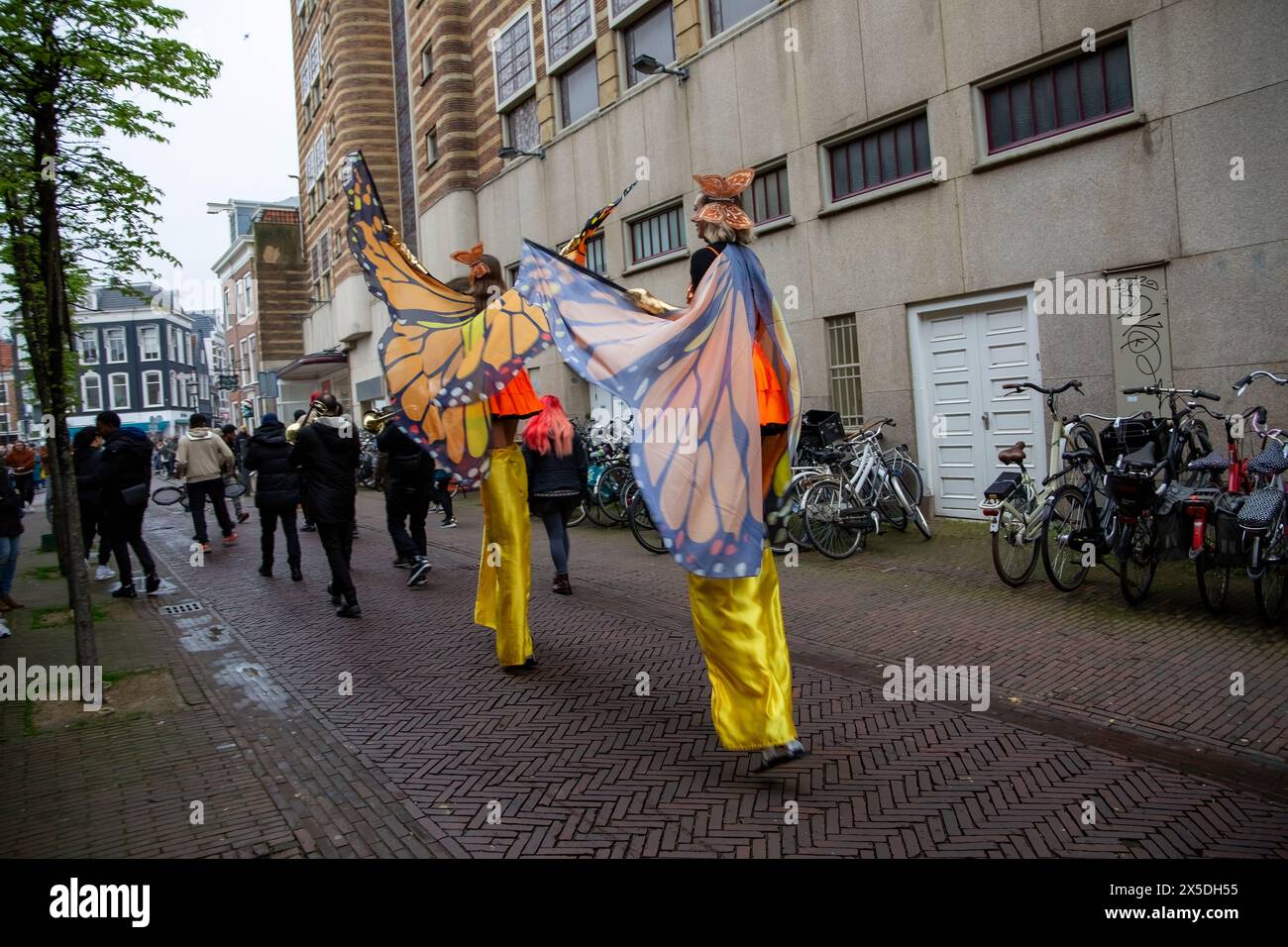 Bloemencorso Haarlem 2024. Il Bloemencorso del Bollenstreek è il più grande festival primaverile dei Paesi Bassi. Foto Stock