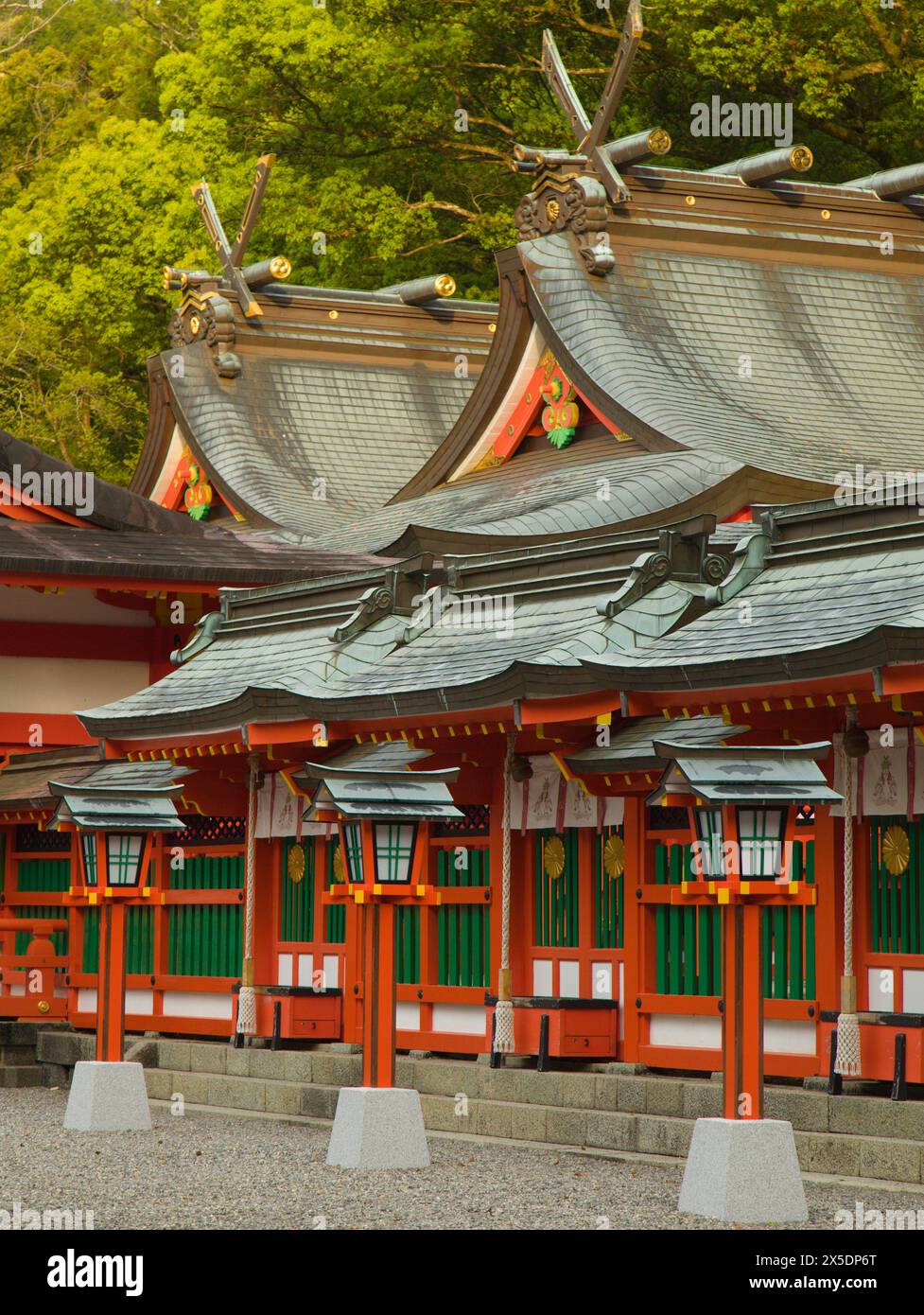 Giappone, Shingu, Kumano Hayatama Taisha, santuario shintoista, Foto Stock