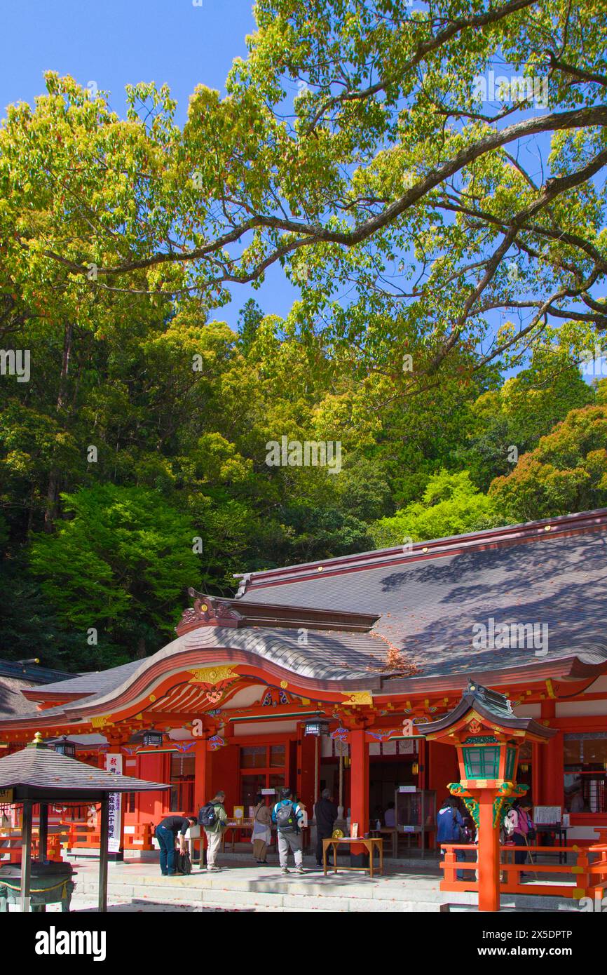 Giappone, Kumano Kodo, Kumano Nachi Taisha, santuario shintoista, Foto Stock