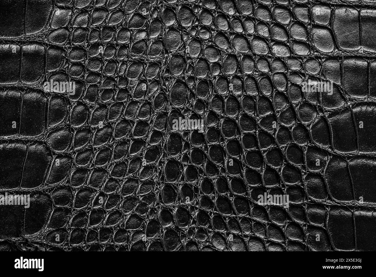 Imitazione della pelle di serpente motivo astratto sfondo nero Foto Stock
