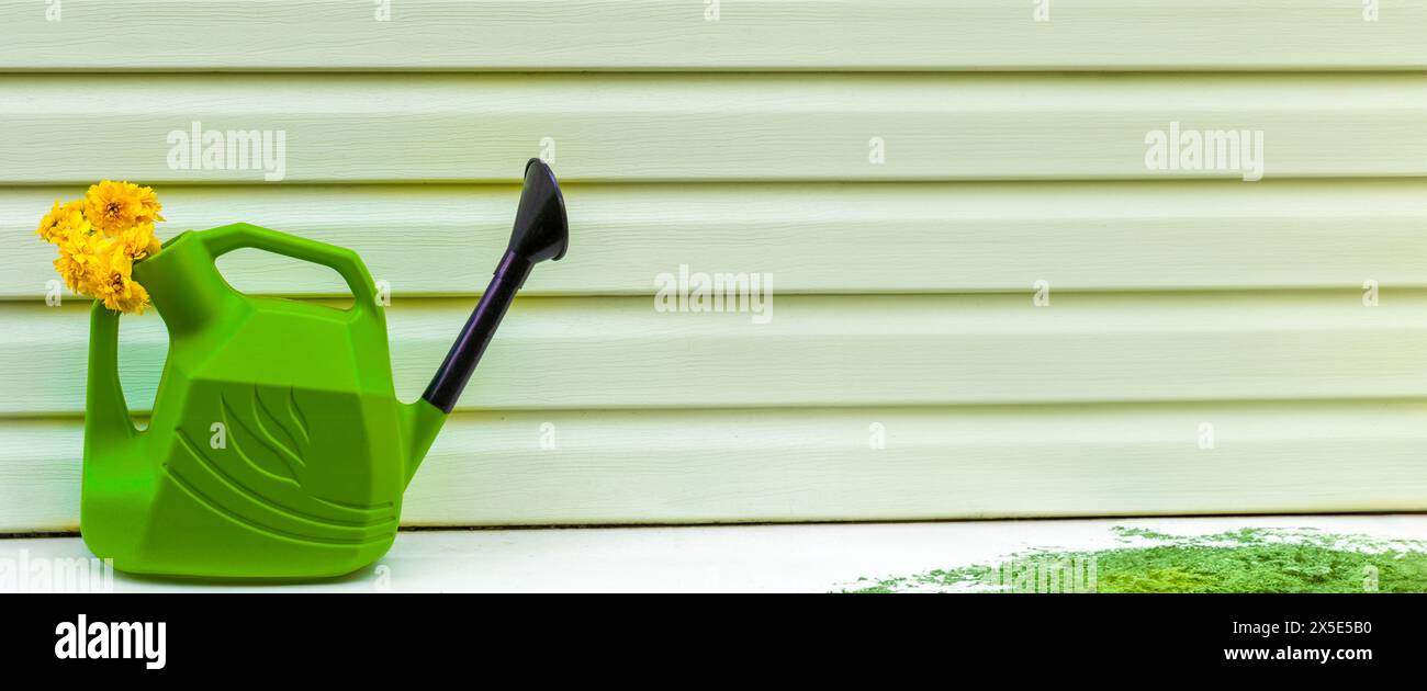 Striscione con barattolo da irrigazione verde e fiori gialli. Sullo sfondo della fiancata. Copia spazio, spazio di testo, modello, layout, mockup. Foto Stock
