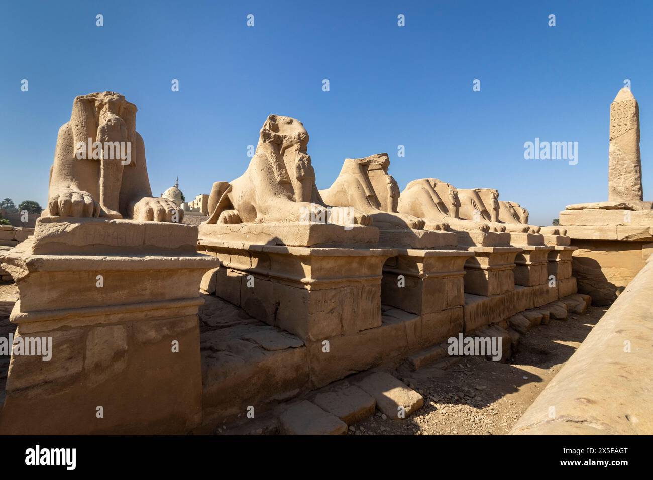 Gli arieti dirigono le Sfingi sulla Kings Festivities Road, o Rams Road, tra i templi di Karnak e Luxor, a 2,7 km di distanza. Egitto, Africa. Foto Stock