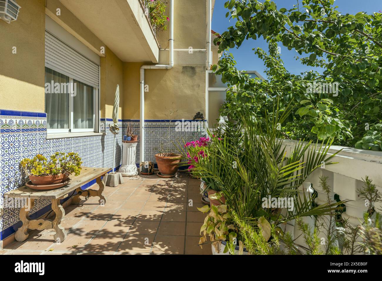 Terrazza con molte piante di una casa indipendente con balaustra di cemento bianco Foto Stock