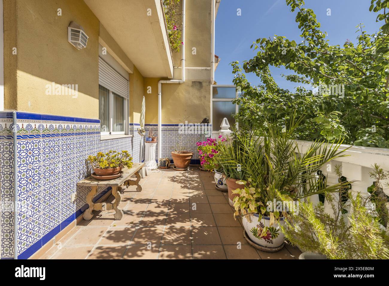 Terrazza con molte piante di una casa indipendente con balaustra di cemento bianco, panchine di cemento e piastrelle fino al centro del muro Foto Stock