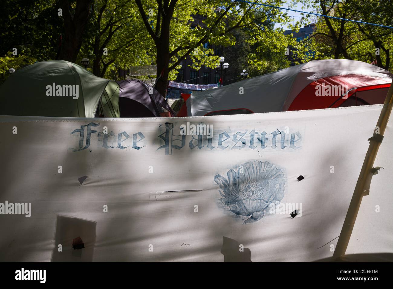 Bandiera della Palestina libera presso l'accampamento di supporto di Gaza presso l'Università del Michigan, Ann Arbor Michigan Foto Stock