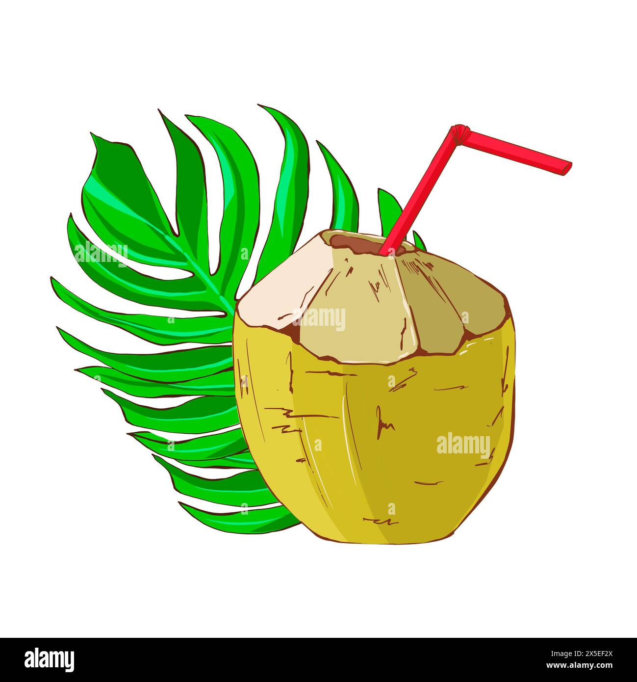 Cocco verde con paglia rossa e foglia di monstera. Composizione con un esotico cocktail tropicale. Illustrazione disegnata a mano in stile piatto su fondo bianco Foto Stock