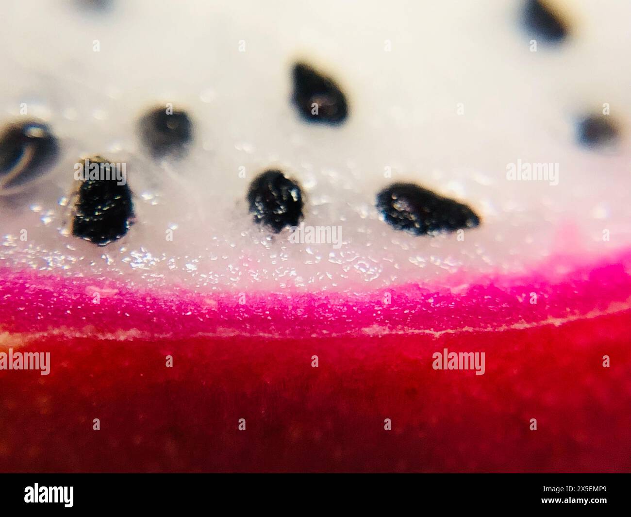 Frutta intera e tagliata a fette. Guadaljara, Messico Foto Stock