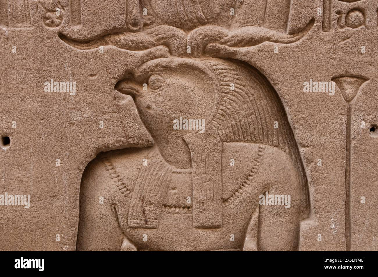 Il secondo tempio più grande dell'Egitto, Edfu fu fu iniziato durante il regno di Tolomeo III nel 237 a.C.. Il falco era a capo di Dio Horus. Foto Stock