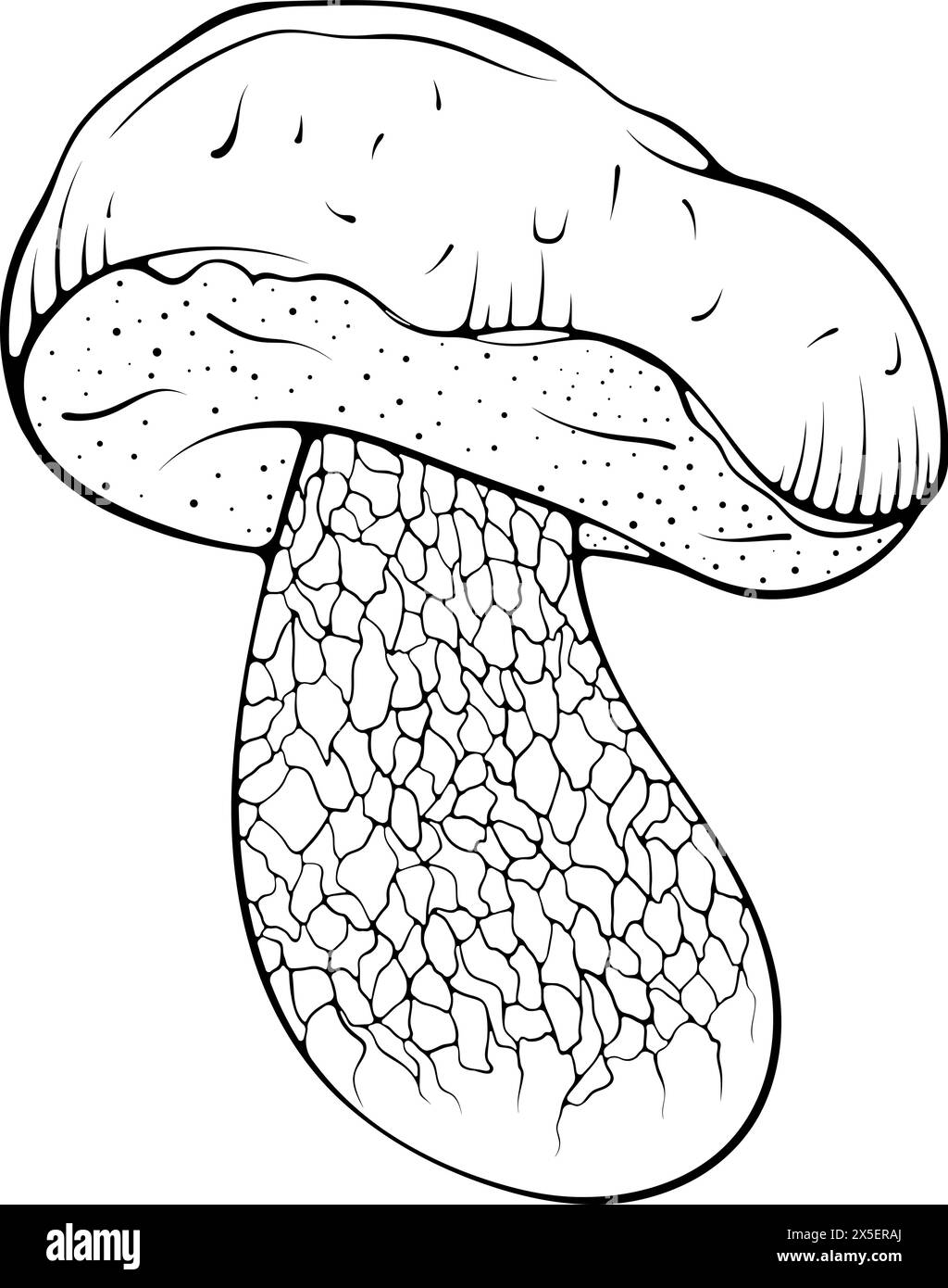 Linea di funghi Boletus art Illustrazione Vettoriale