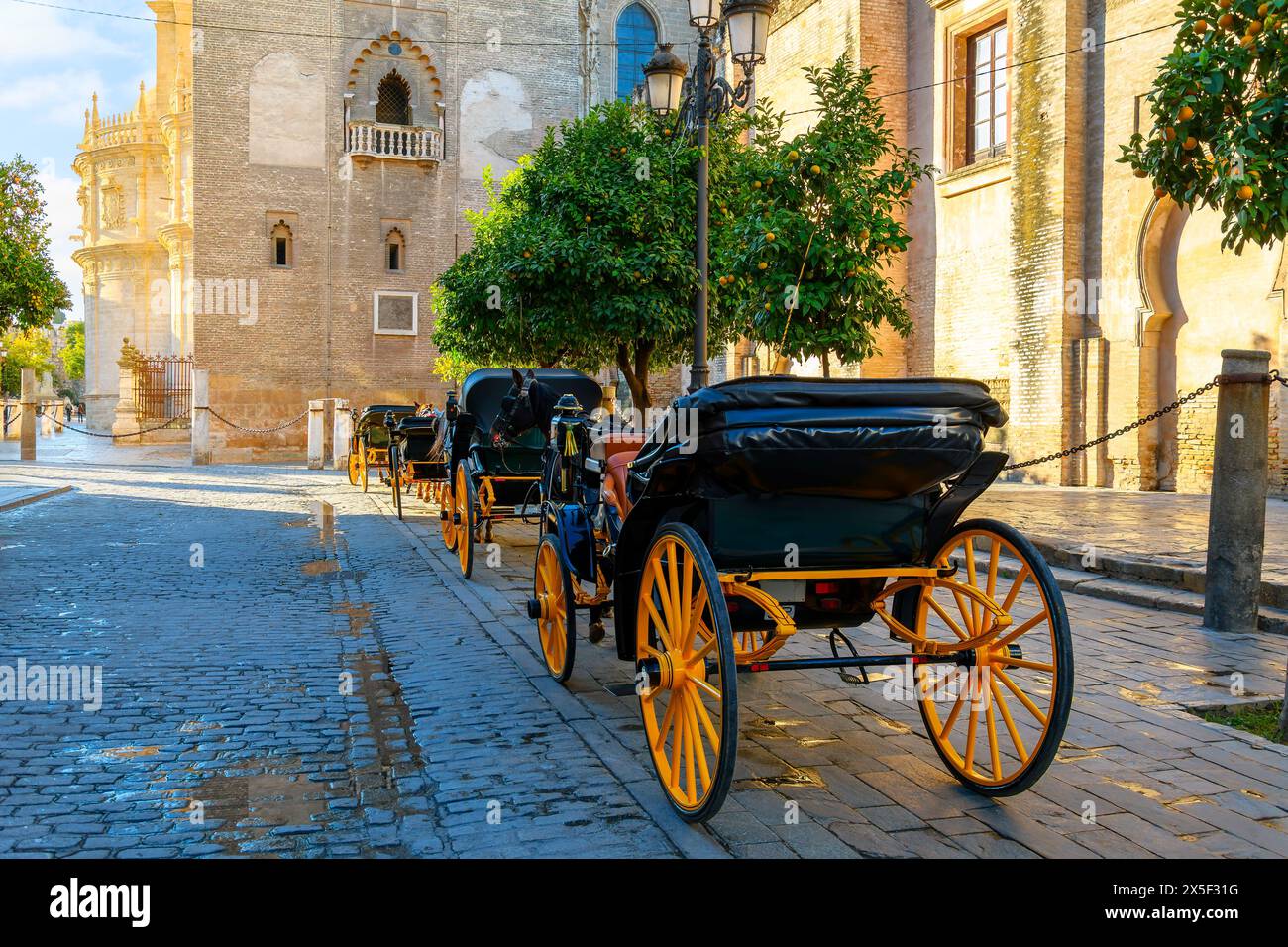 Una fila di carrozze trainate da cavalli con le tradizionali ruote gialle si allinea al mattino presso la cattedrale, nella città andalusa di Siviglia, Spagna. Foto Stock