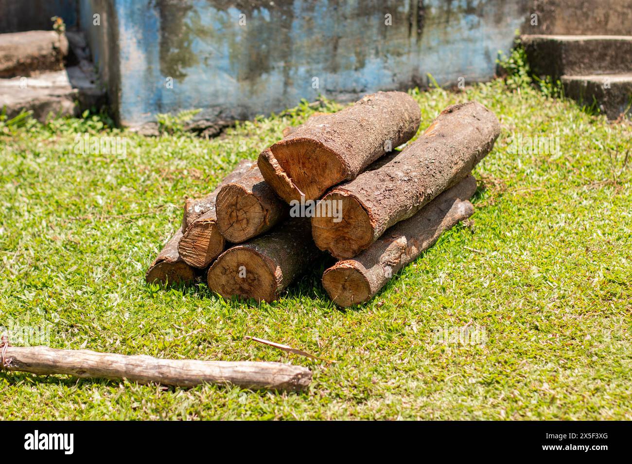 Un mucchio di legna tagliata nell'erba Foto Stock