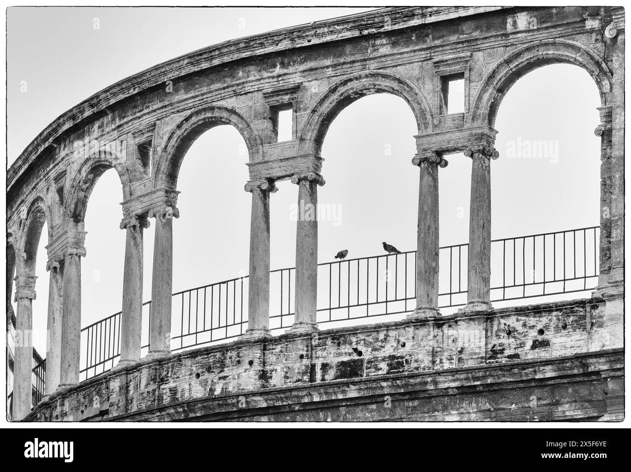 Archi della Catedral del Santo Caliz (Cattedrale di Valencia, Cattedrale del Santo Calice o Cattedrale di Santa Maria) visti dalla Plaza de la Foto Stock