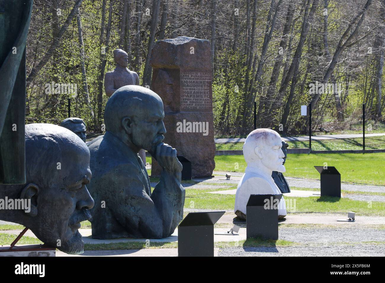 Tallin, Estonia - aprile 27 2024: Statue di Stalin e Lenin esposte nel giardino del museo. Nessuna persona visibile Foto Stock