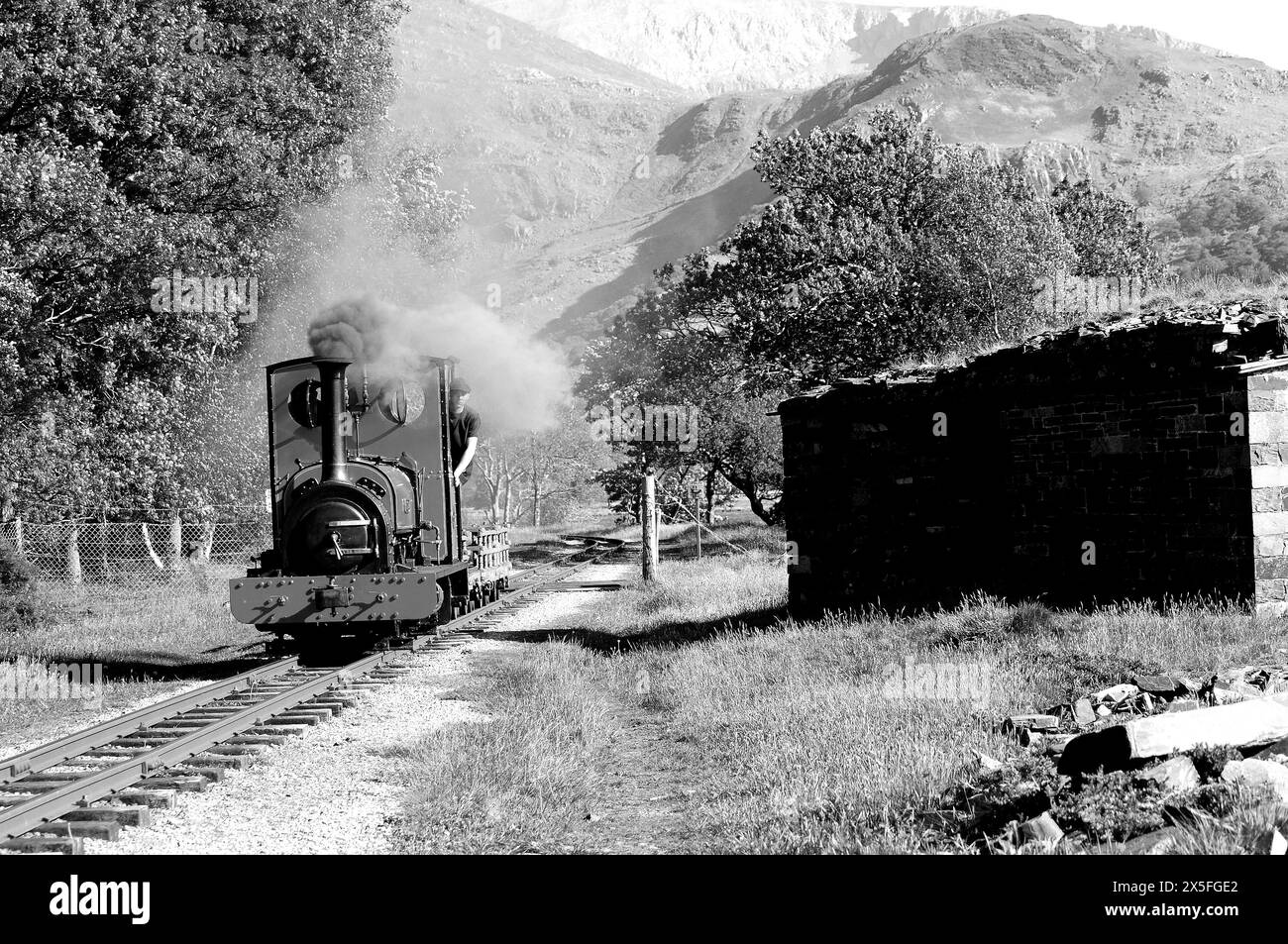 'Elidir' a nord di Gilfach DDU con un breve treno di carri in ardesia. Foto Stock