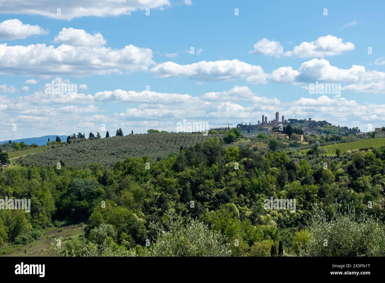 Una classica e lontana vista della storica città medievale di San Gimignano in Toscana, Italia, con le famose torri visibili sopra i verdi alberi. Foto Stock