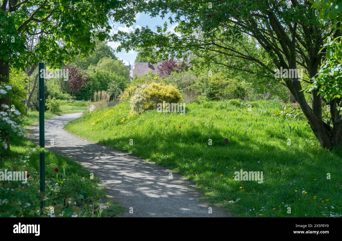 Giardino naturale con percorso curvo, alberi e cespugli in primavera Foto Stock