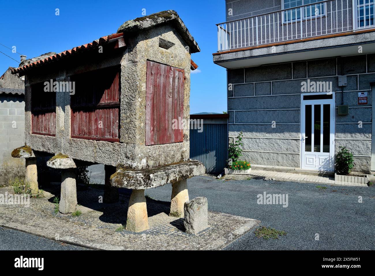 Granai allevati a Paredes, Leiro, Ourense, Spagna Foto Stock